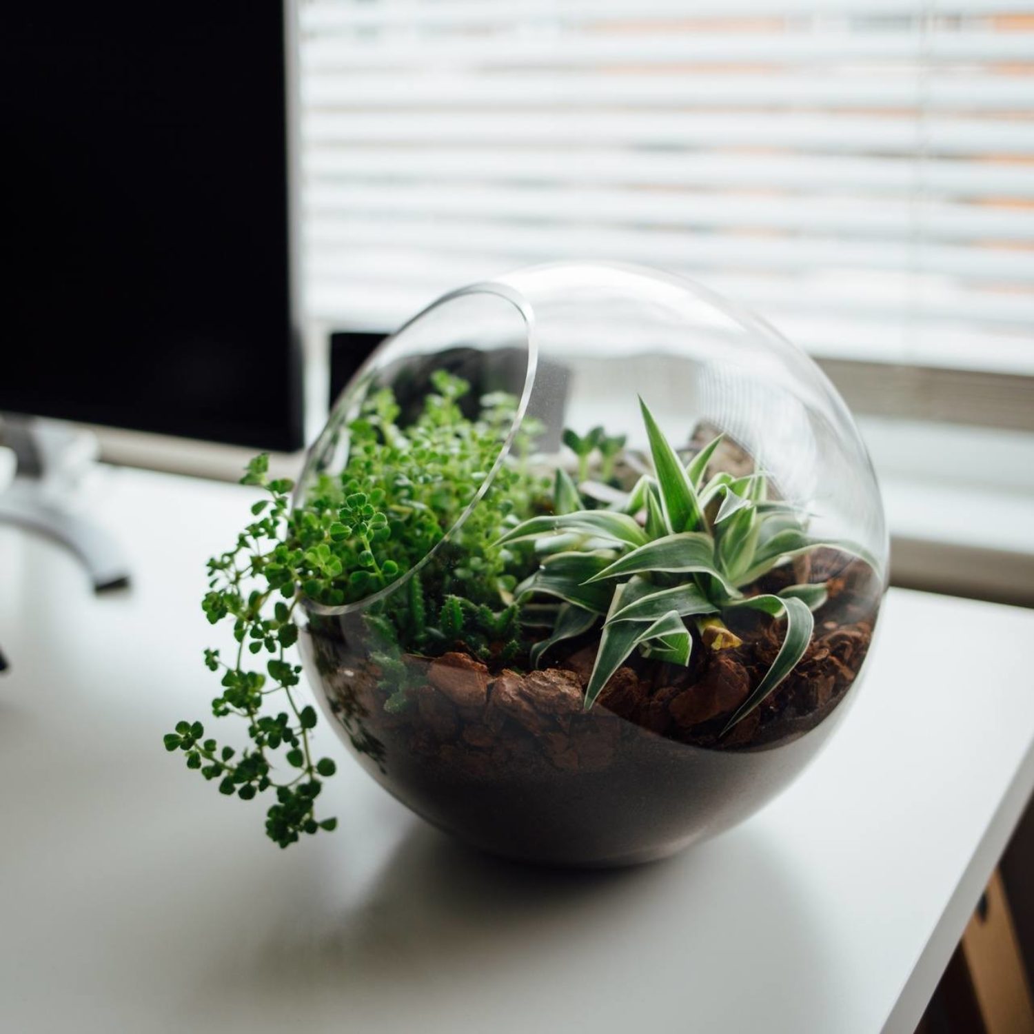 Ecological System in Office